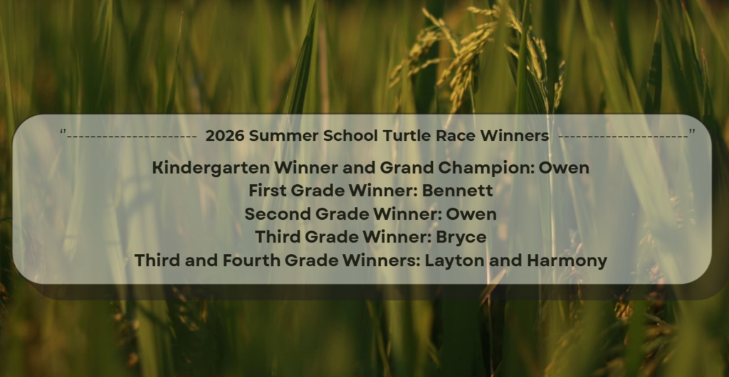2026 Turtle Race Winners