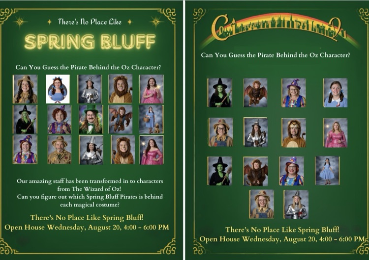 spring bluff teachers and staff dressed like wizard of oz characters 