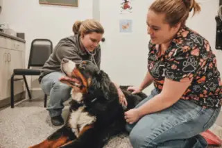 Dr. Rachel Fargerson with a dog