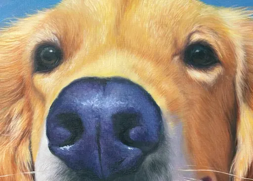 drawing of golden-haired dog
