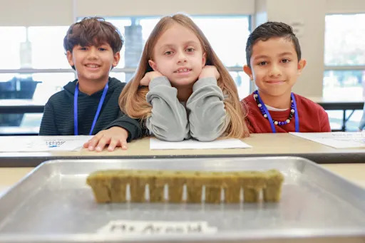 three students sat in front of a small plant