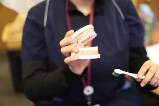 dental student holding model teeth