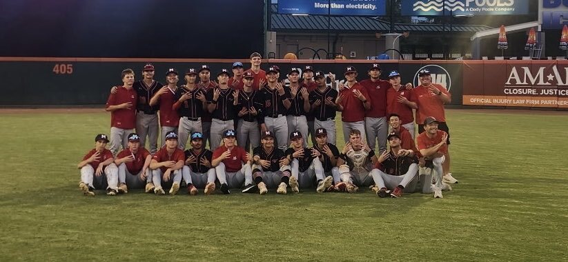 Baseball Champions