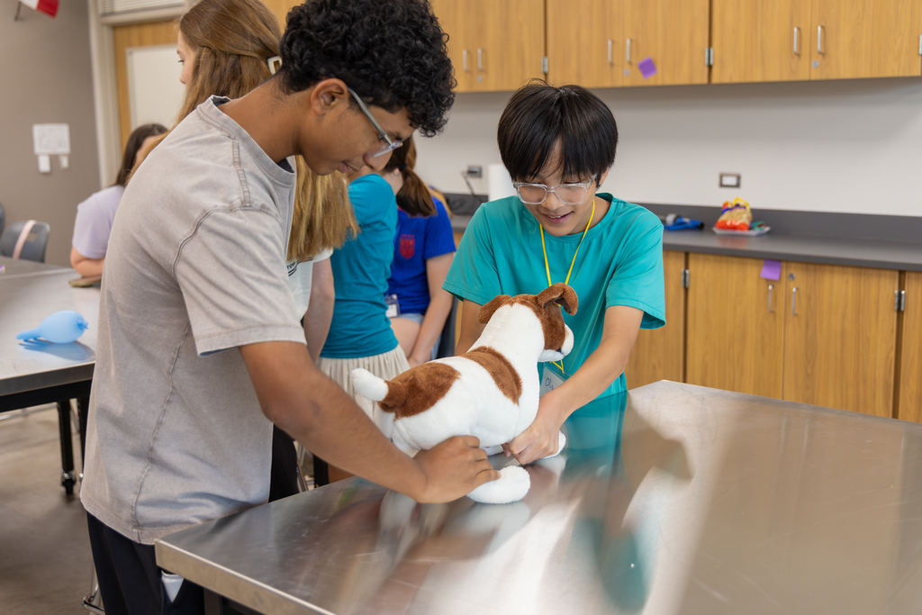 Two students work on a stuffed dog on a table in a lab. Other students and cupboards are in the background.