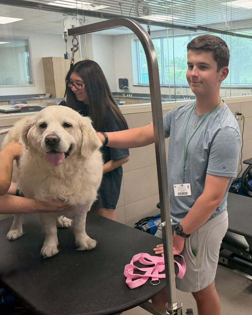 Two individuals holding a large white dog on a table. The dog stands with its tongue out.