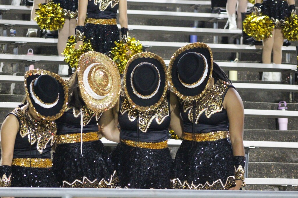 SWHS Tigerettes