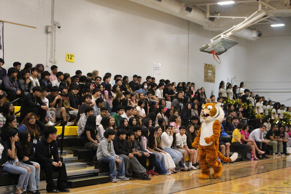 SWHS Pep Rally