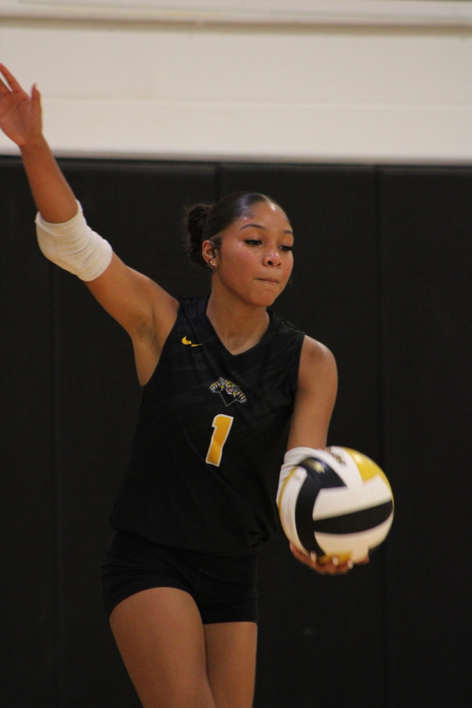 SWHS Volleyball