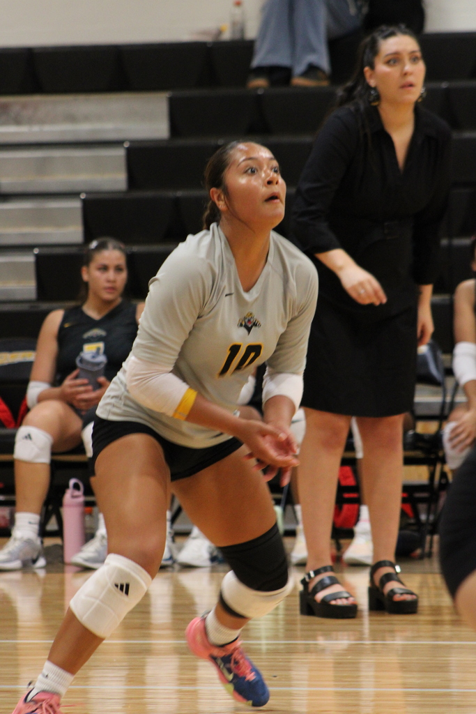 SWHS Volleyball