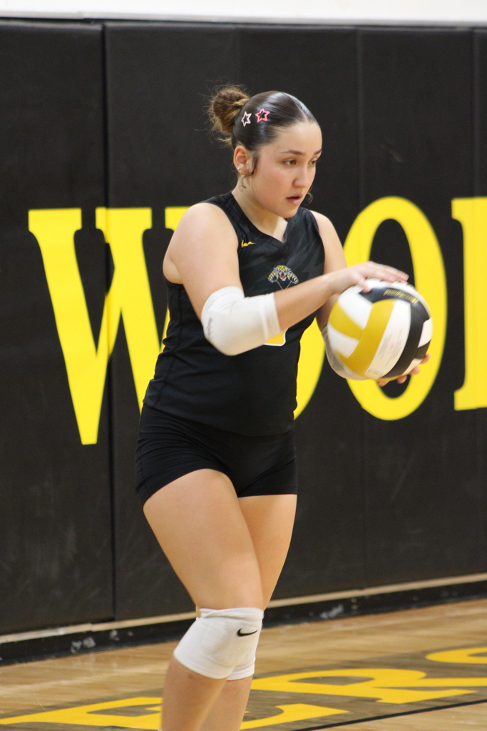 SWHS Volleyball