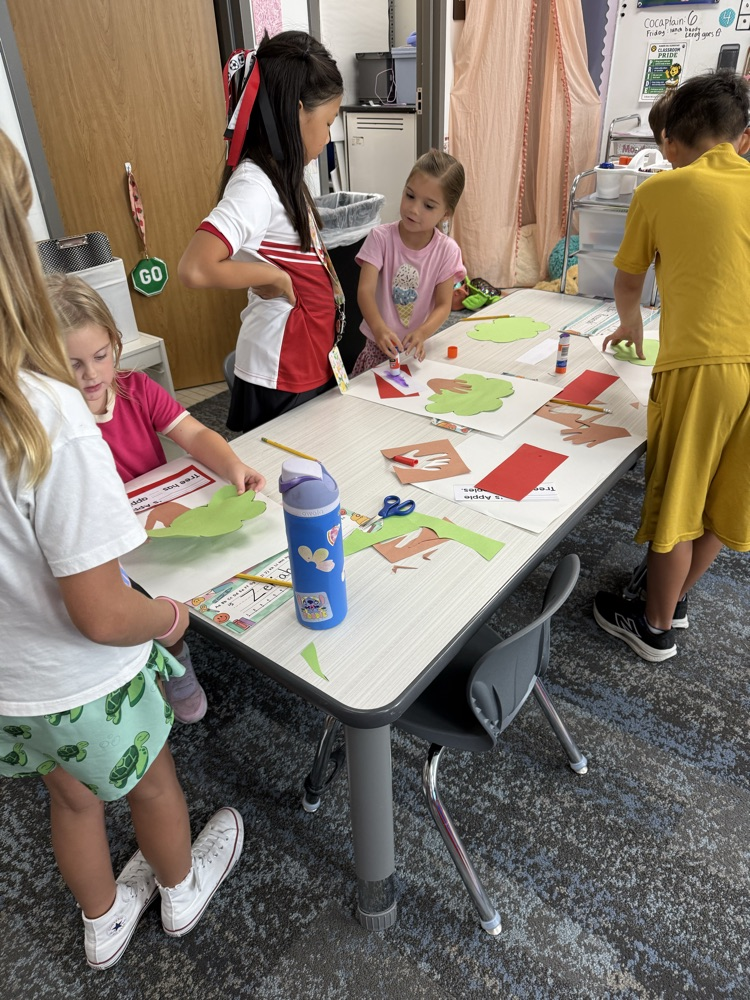 Buddy classes