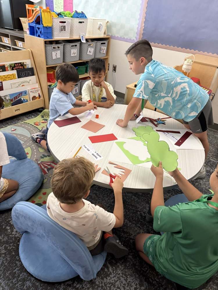 Buddy classes