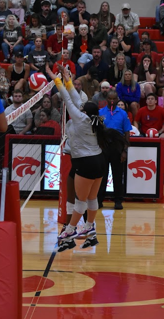 SWHS Volleyball