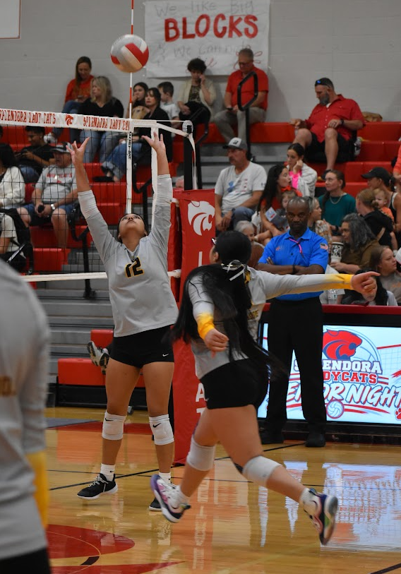 SWHS Volleyball