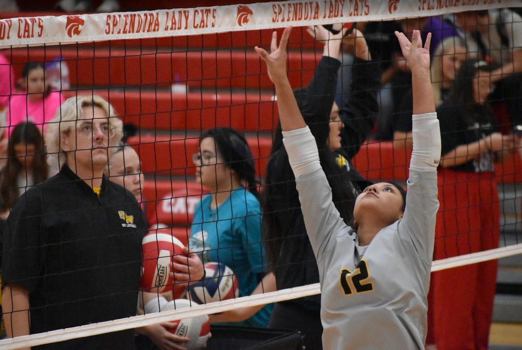 SWHS Volleyball