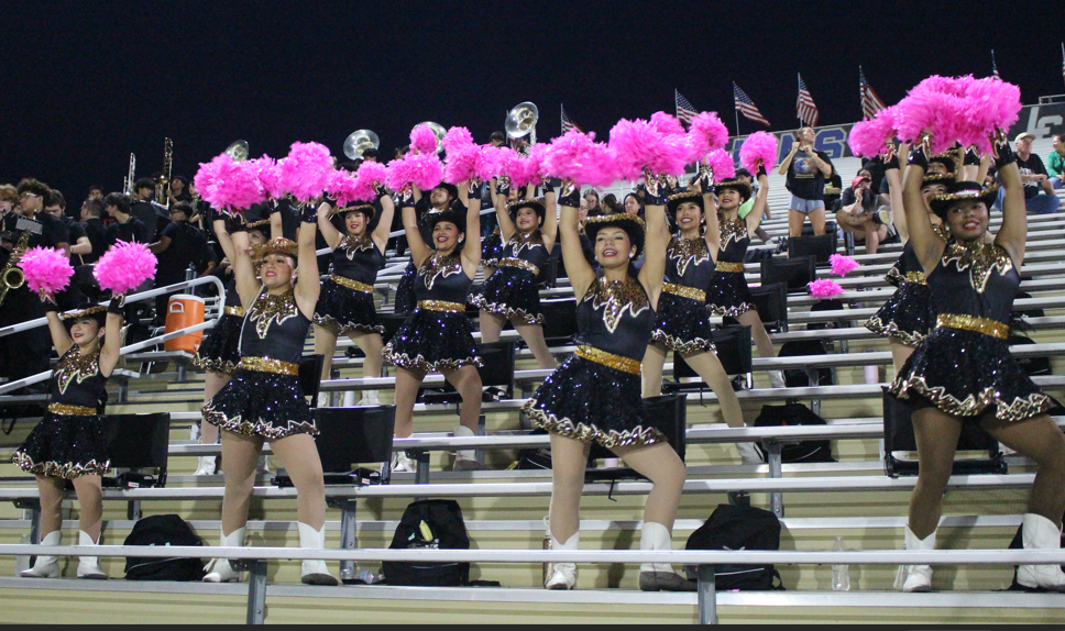 SWHS Tigerettes 
