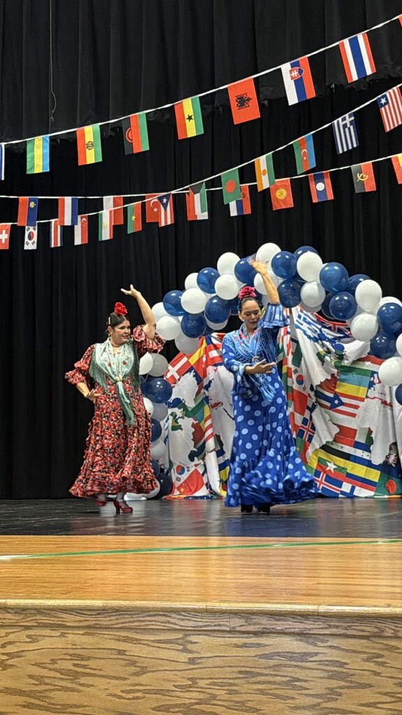 Culture Night