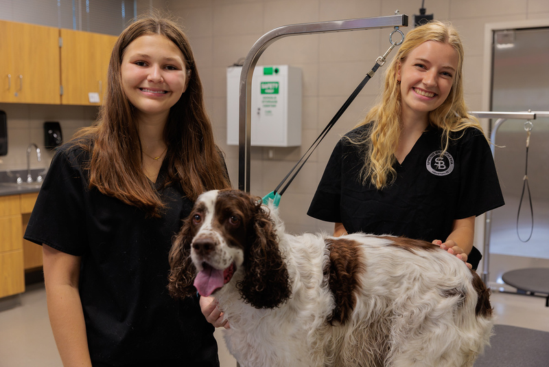 Pet Grooming Service Students
