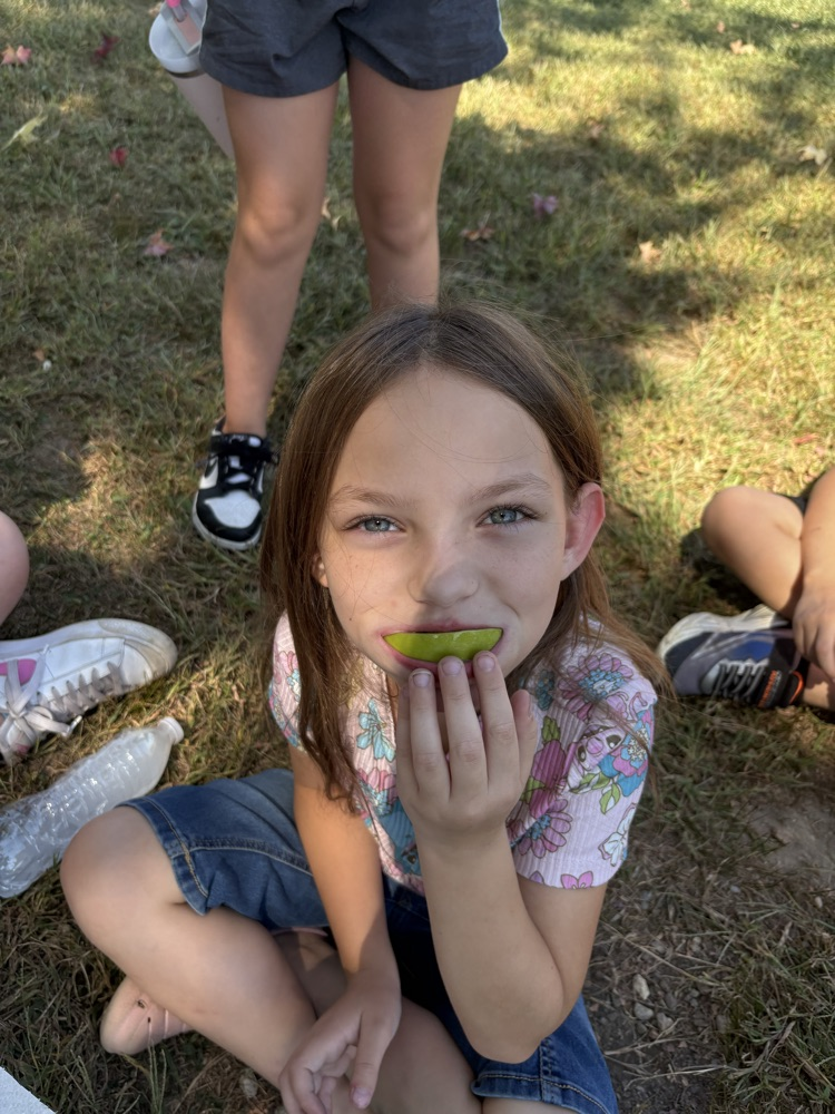 apple