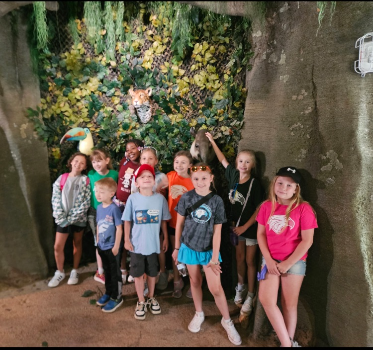 zoo