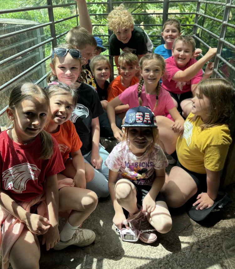 zoo