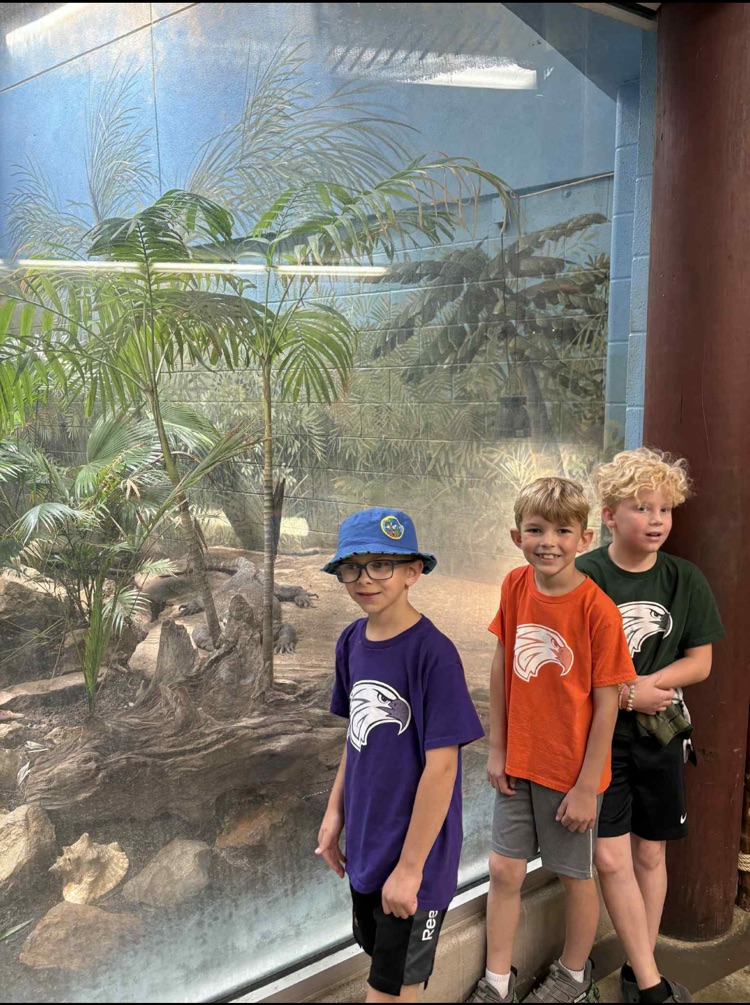 zoo