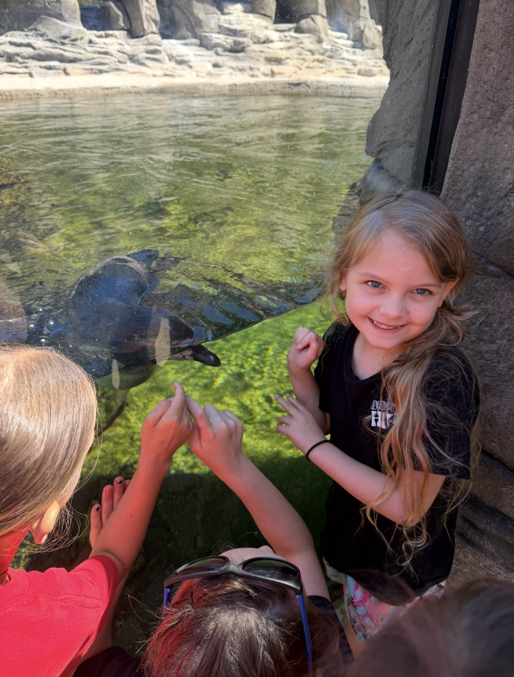 zoo