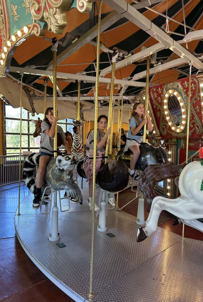 zoo