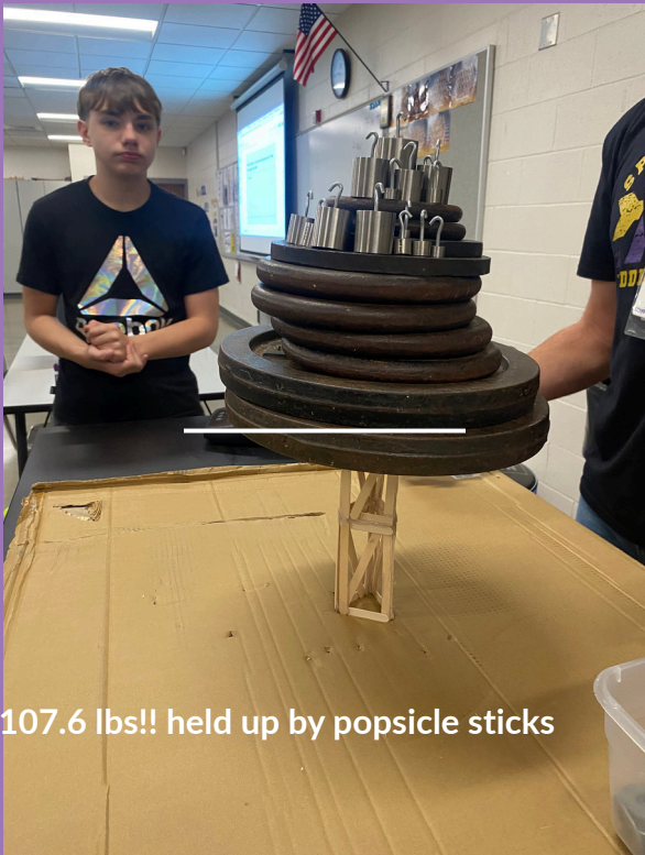 Popsicle sticks