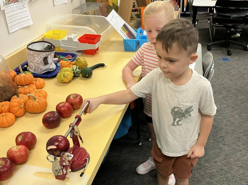 Apple and pumpkin exploration