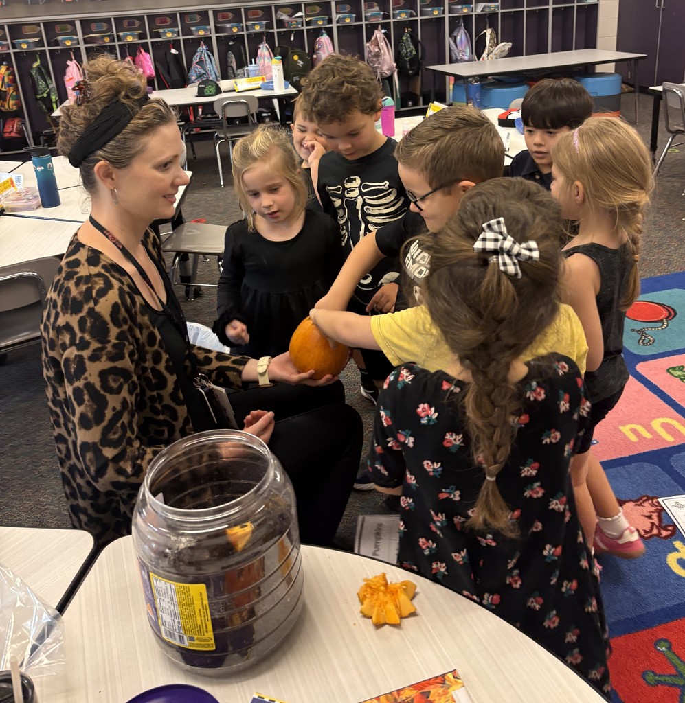 Apple and pumpkin exploration