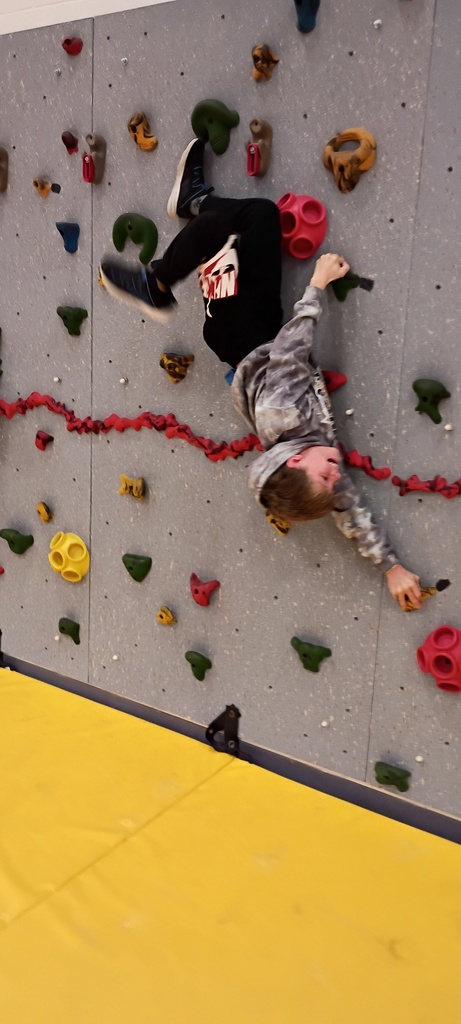 halfway up the climbing wall 