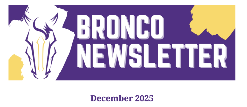 Newsletter header screenshot