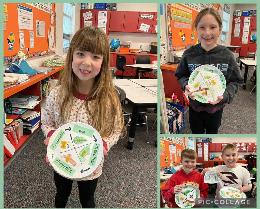 posing with butterfly life cycle 