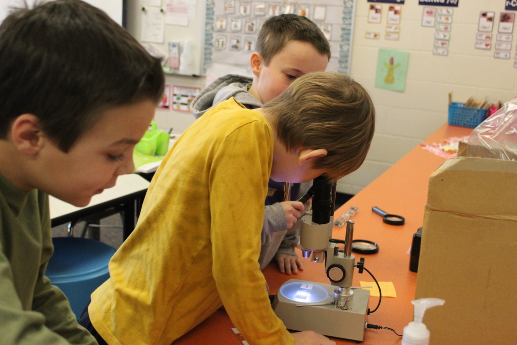 2nd Grade Bug Scientists 