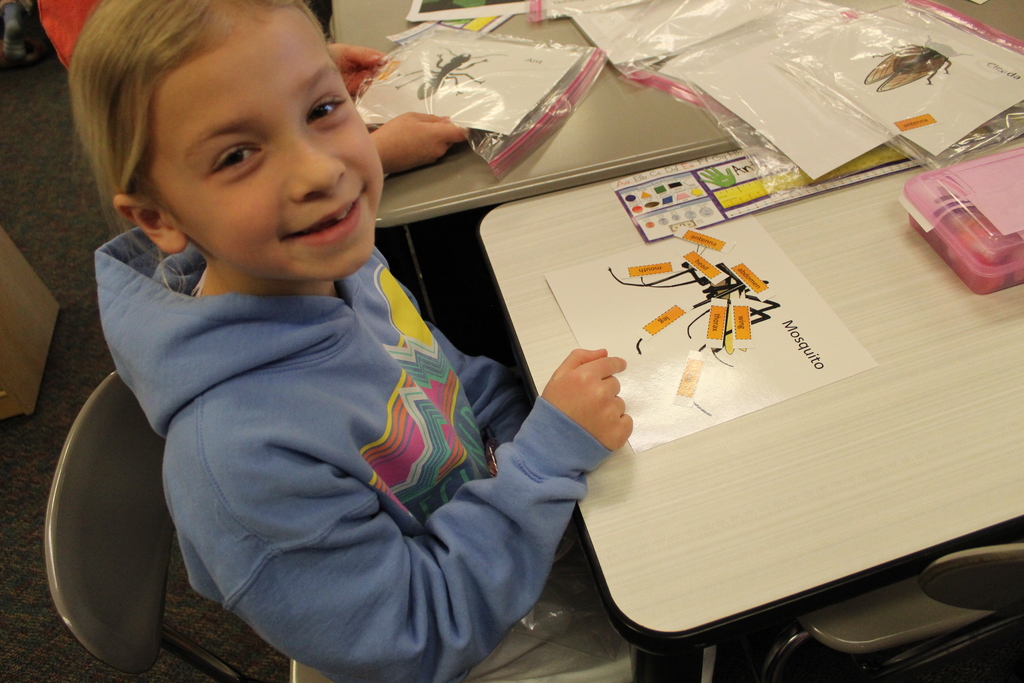 2nd Grade Bug Scientists 