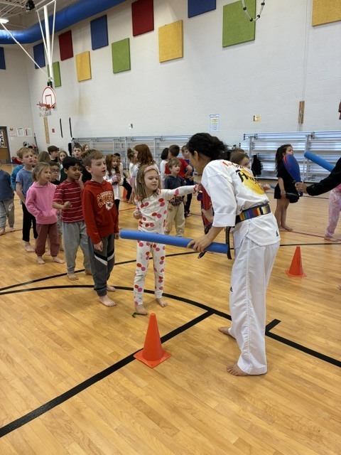 students practicing Taekwondo no information