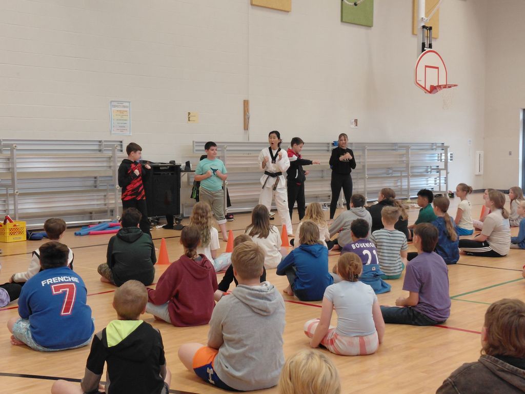 students practicing Taekwondo no information