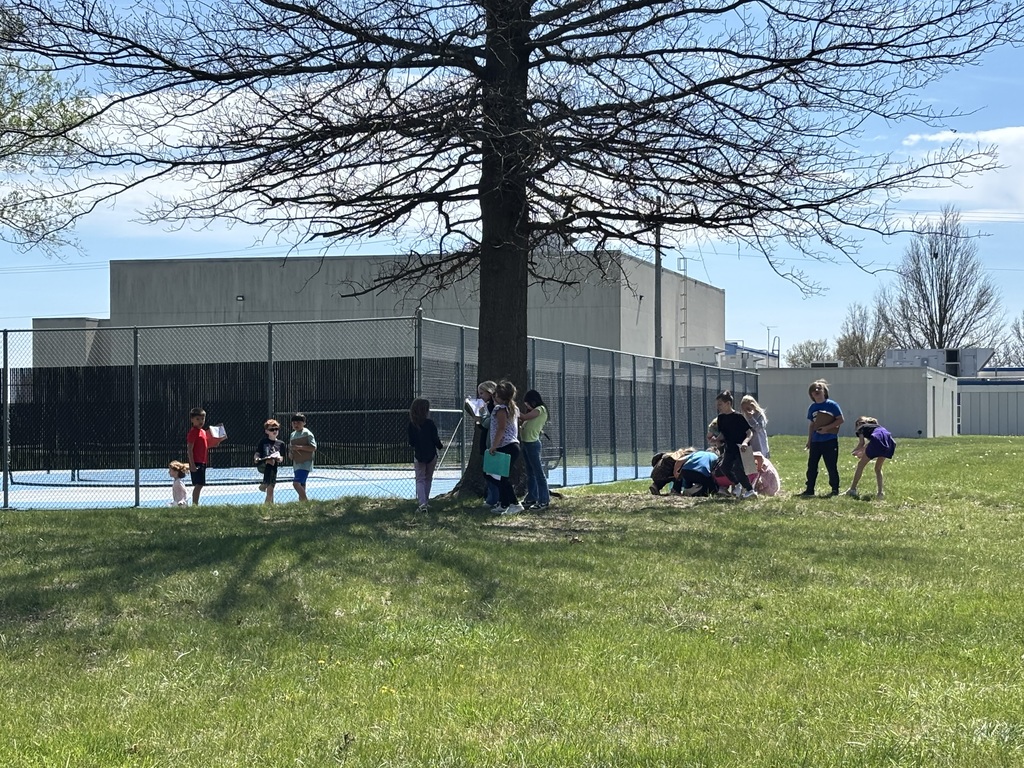 Second grade insect hunt
