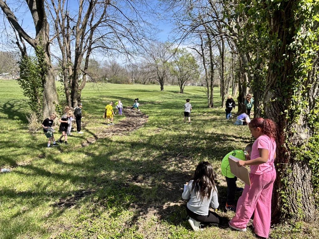 Second  grade insect hunt