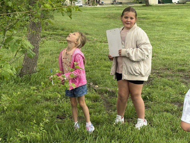 Students hunting for insects outside.