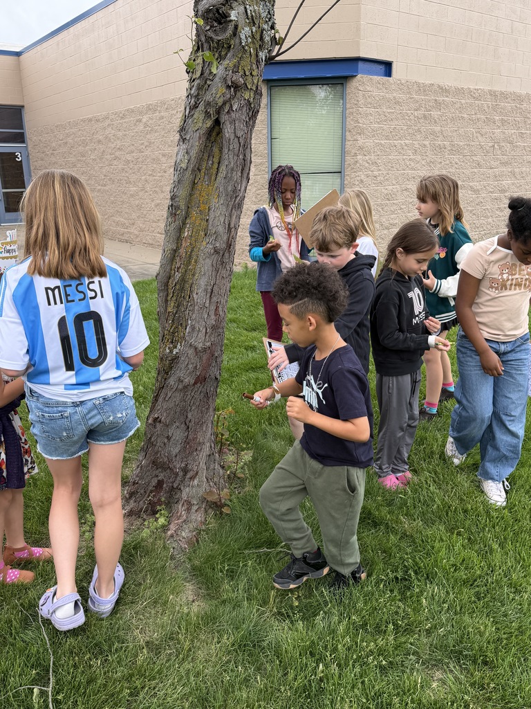 Students hunting for insects around a tree.