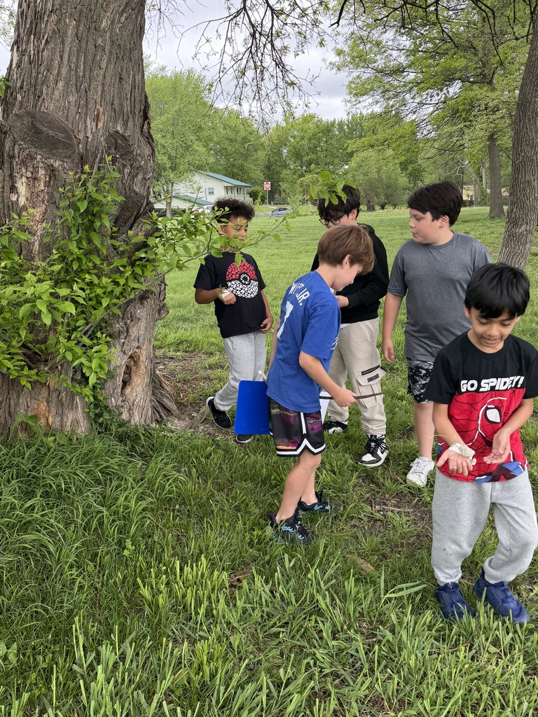 Students hunting for insects around a tree.