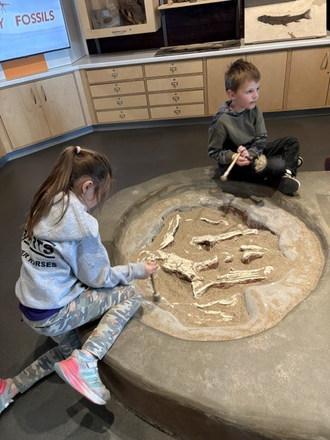 Students digging for fossils at at museum.
