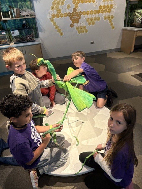 Students playing with a giant model of a praying mantis.