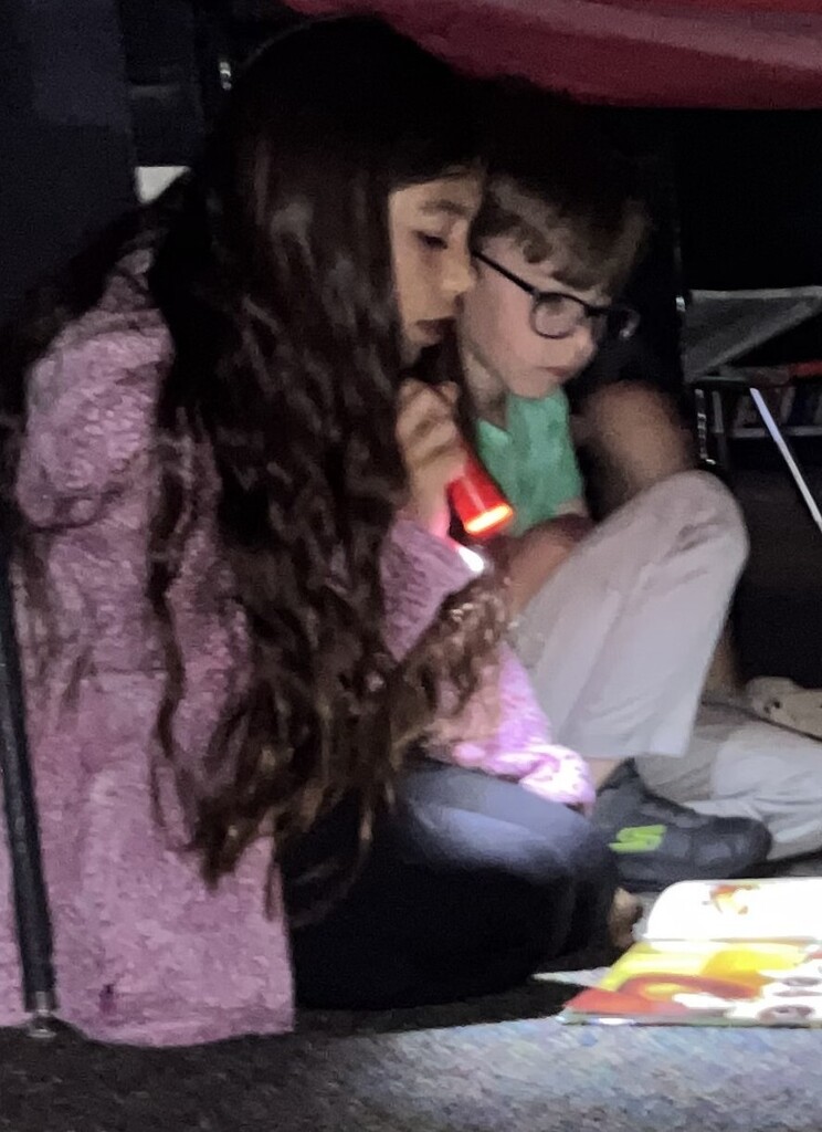 1st and 3rd Buddy flashlight reading
