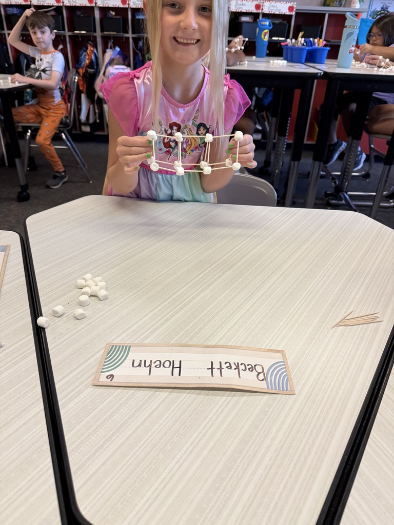 STEM Tower Building!
