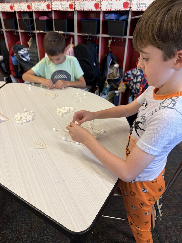 STEM Tower Building!