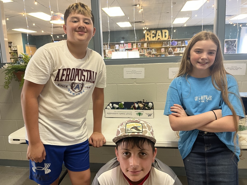7th grade strategic reading