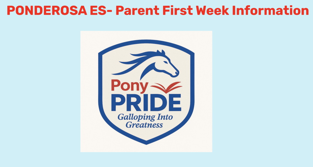week 1 information